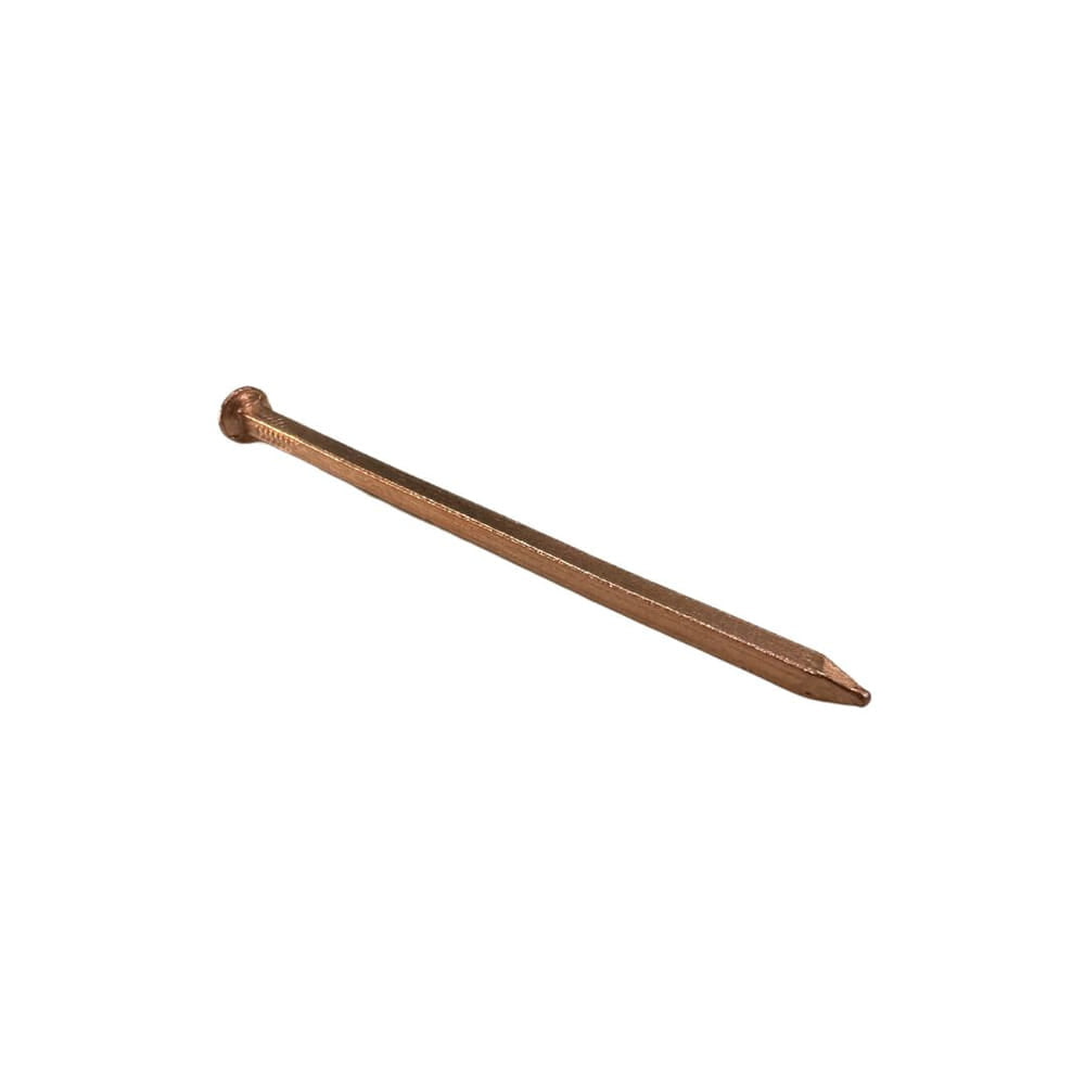 Copper_Nail_Huge