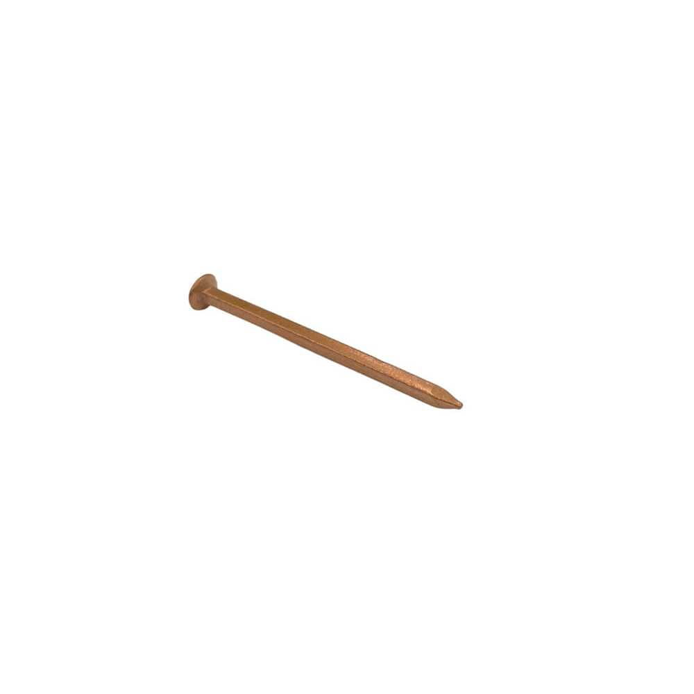 Copper_Nail_Large_0172d1e4-8275-44ad-a149-8bccd5436e2b