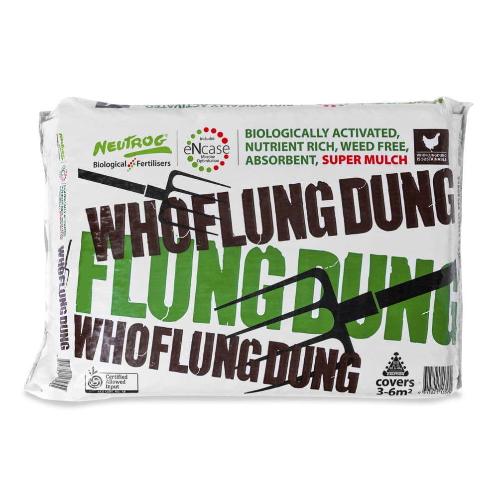 Whoflungdung-Bale.-2000x2000-1